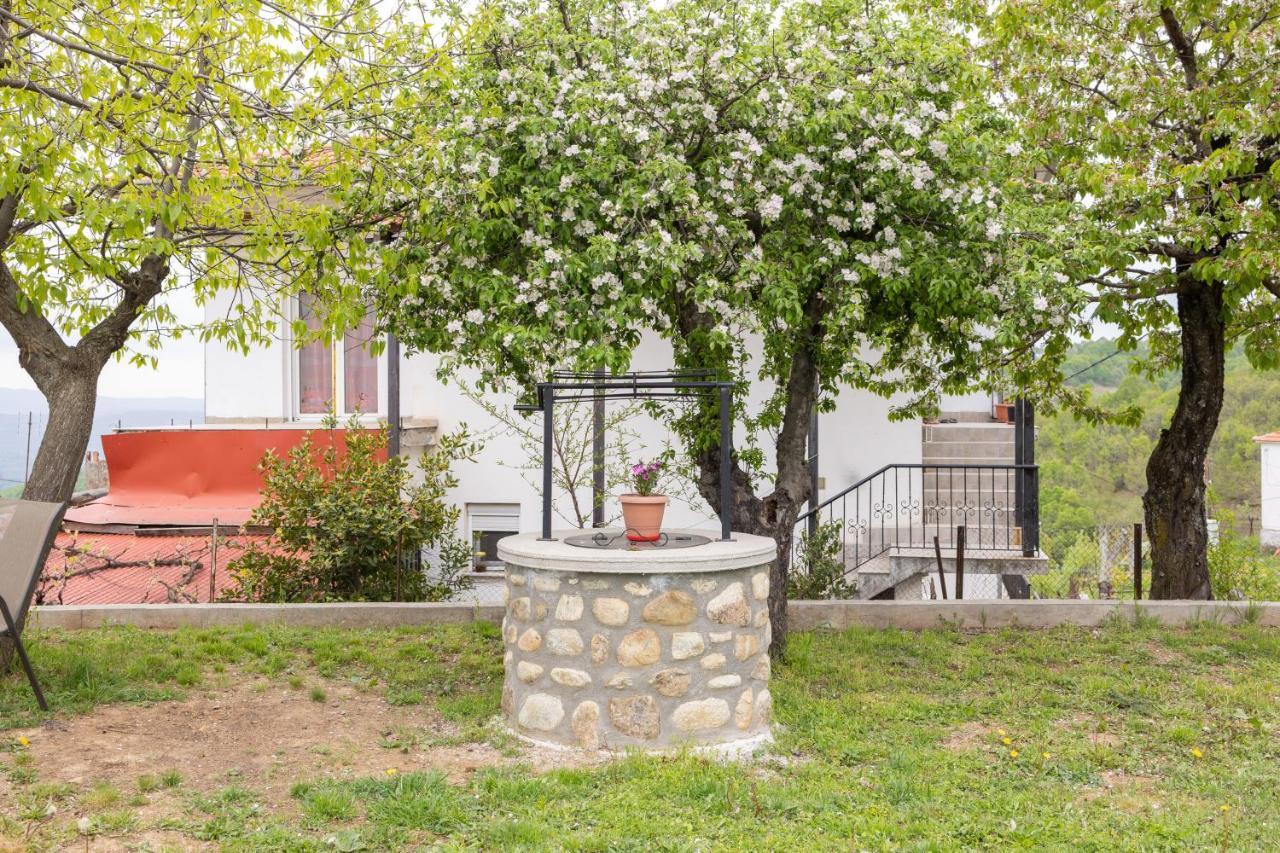 Archontiko Fotini - Traditional Guesthouse Meteora Каламбака Екстер'єр фото